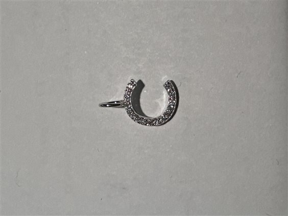 Charm Gioielleria Dossena  Donna in Argento INAR-1-C - INAR-1-C